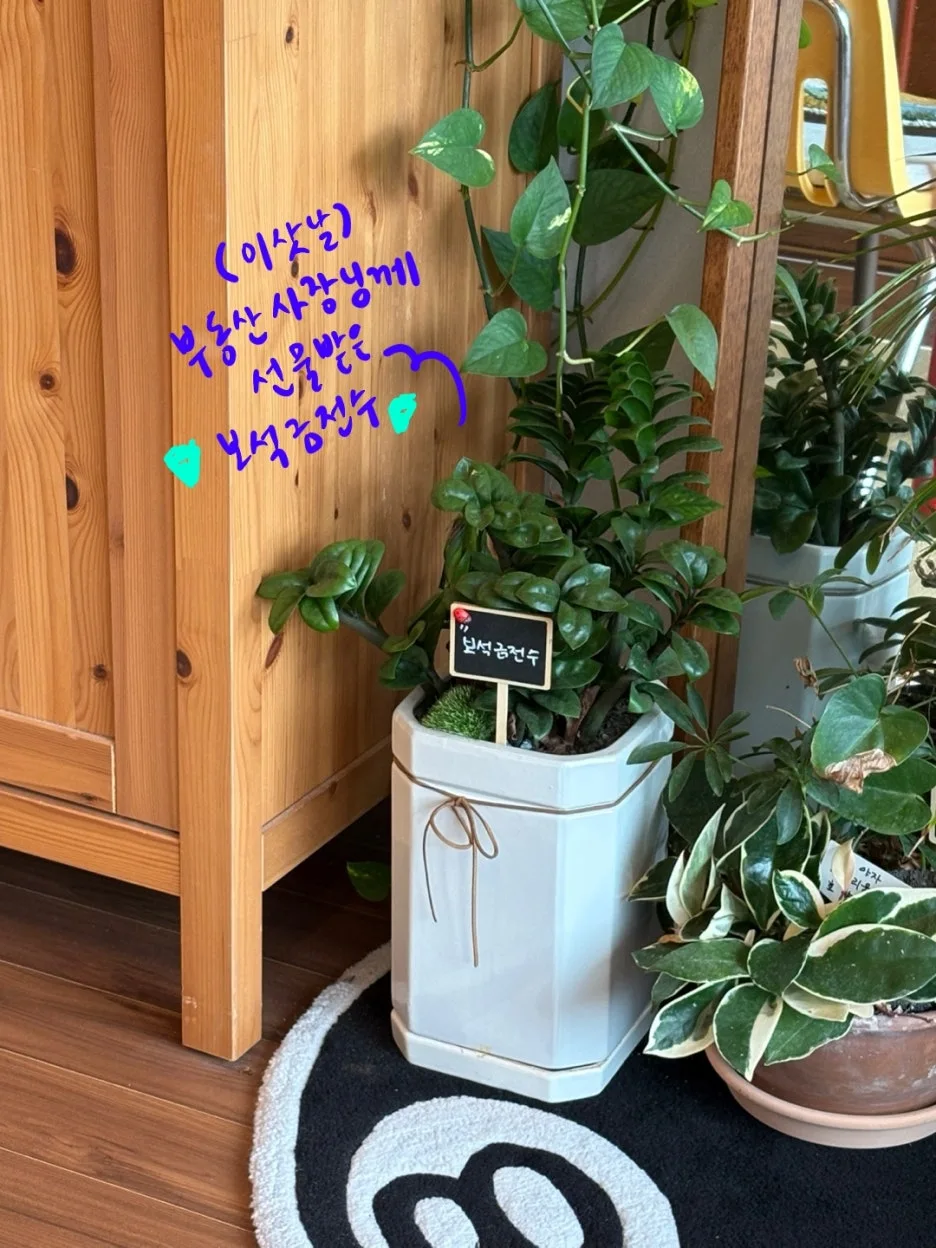 IMG_0118.jpeg?type=w1