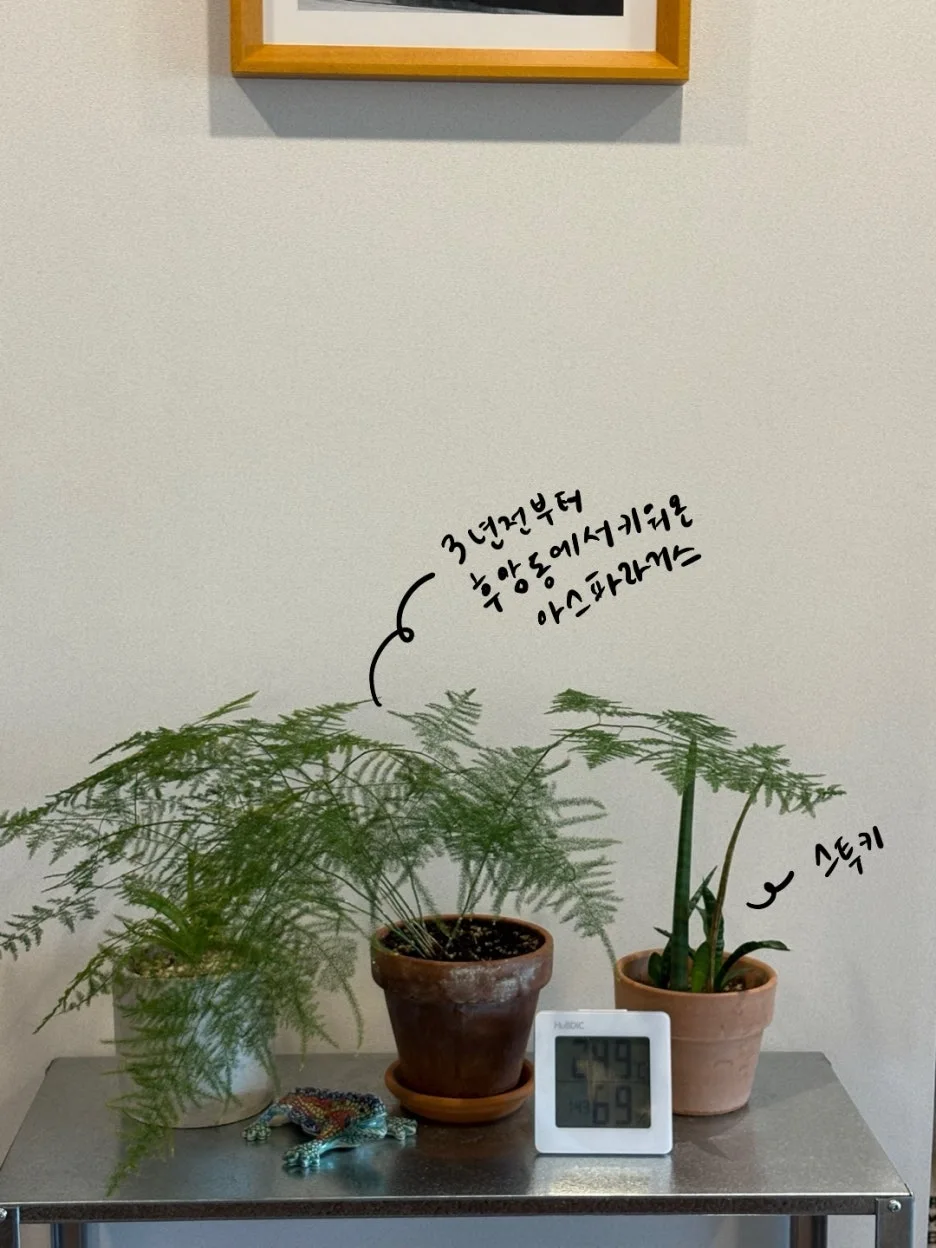 IMG_0115.jpeg?type=w1