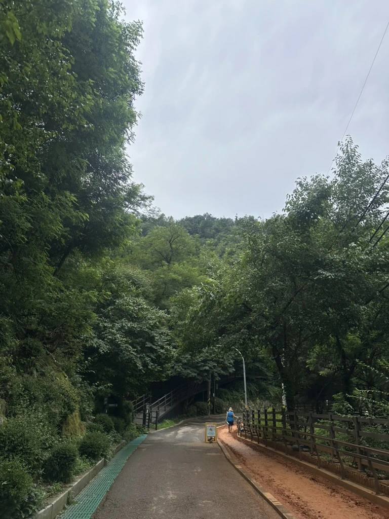 04C3A47E-53A7-4207-98C0-D646473046CA_1_105_c.jpeg?type=w1