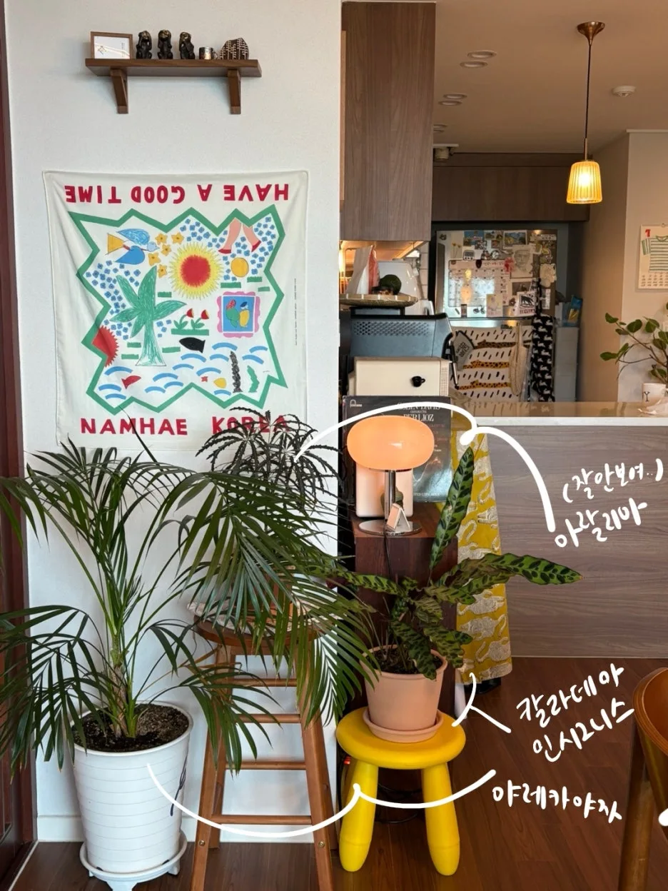 IMG_0120.jpeg?type=w1