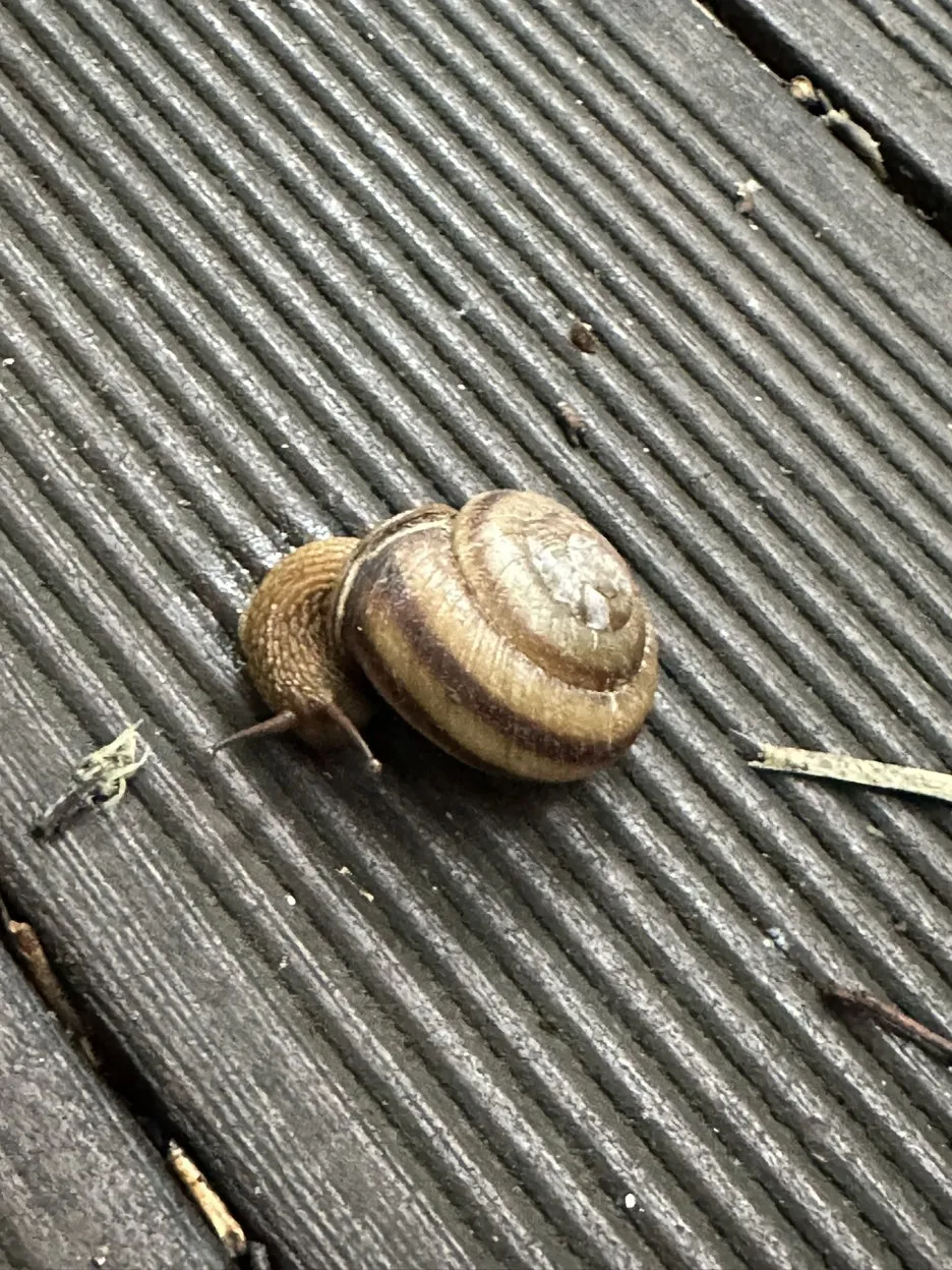 5700F1DE-DAD4-4955-829E-5E267A4F7CA0_1_102_o.jpeg?type=w1