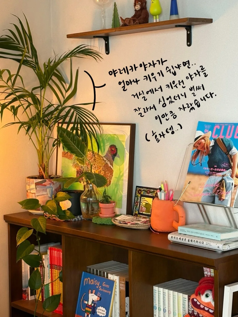 IMG_0119.jpeg?type=w1