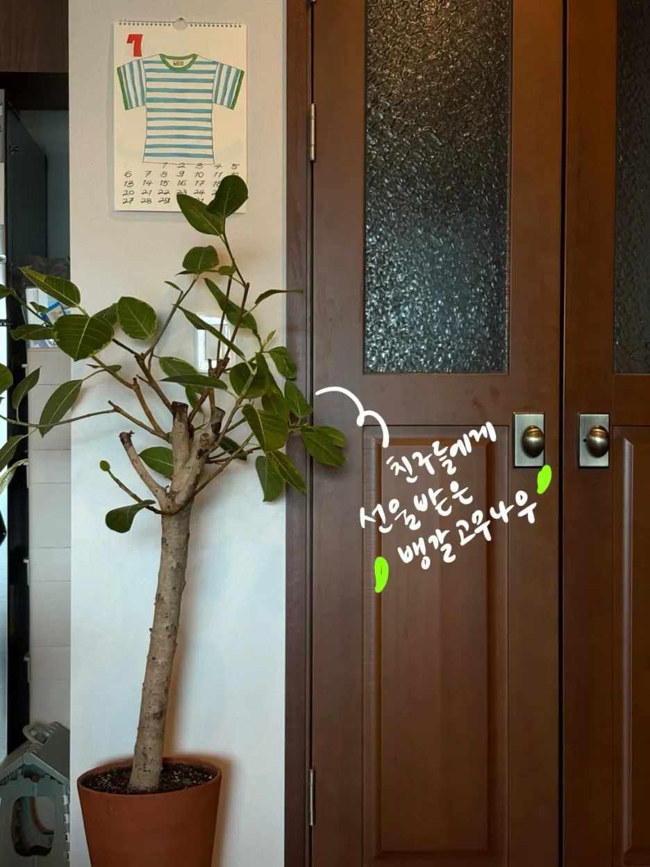 IMG_0114.jpeg?type=w1