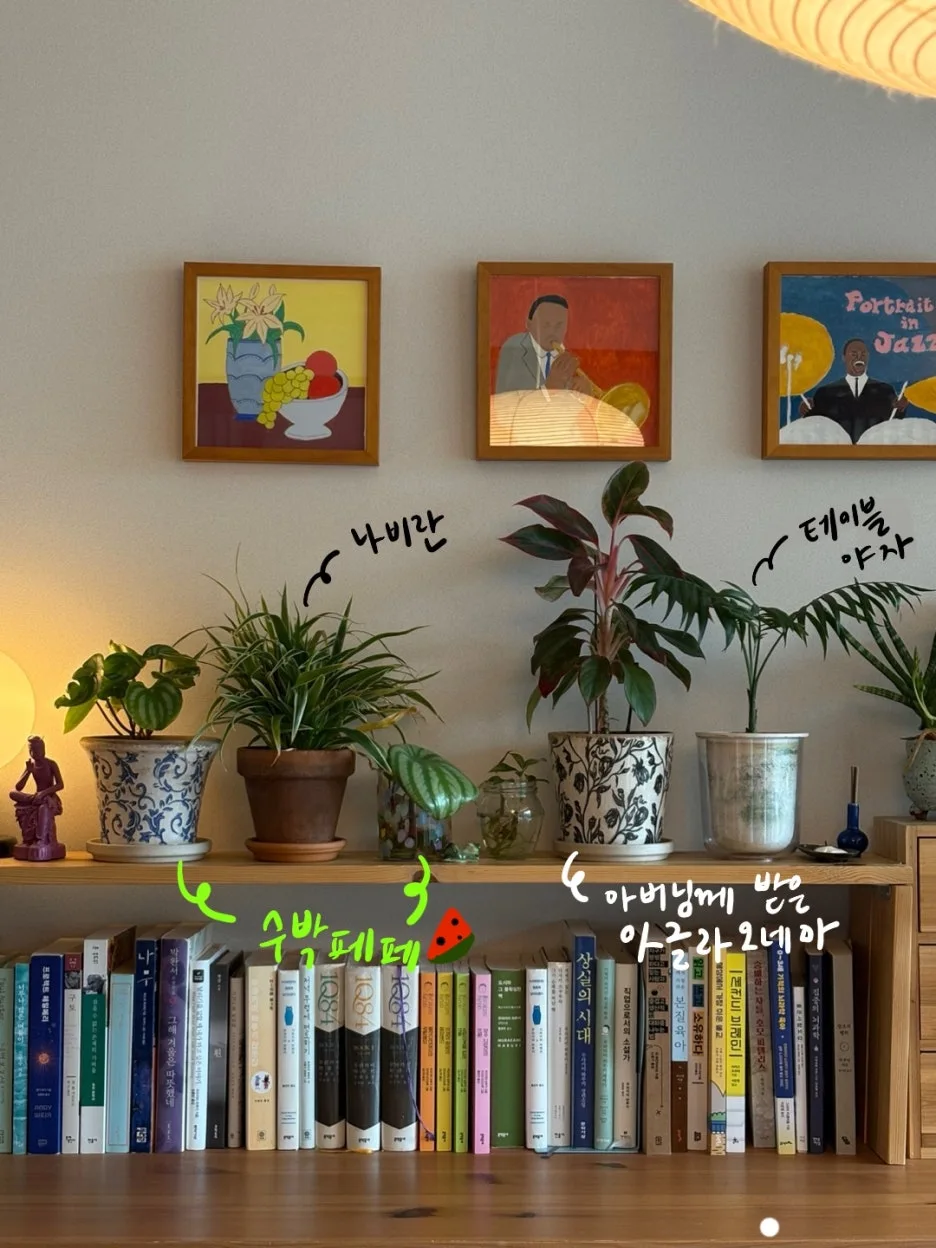 IMG_0113.jpeg?type=w1