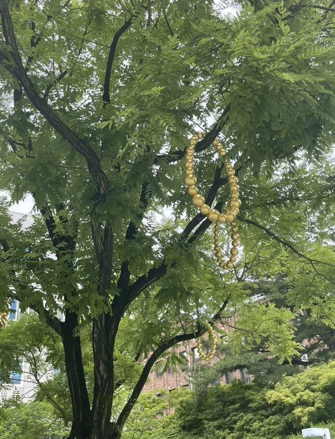 IMG_9639.jpg?type=w1