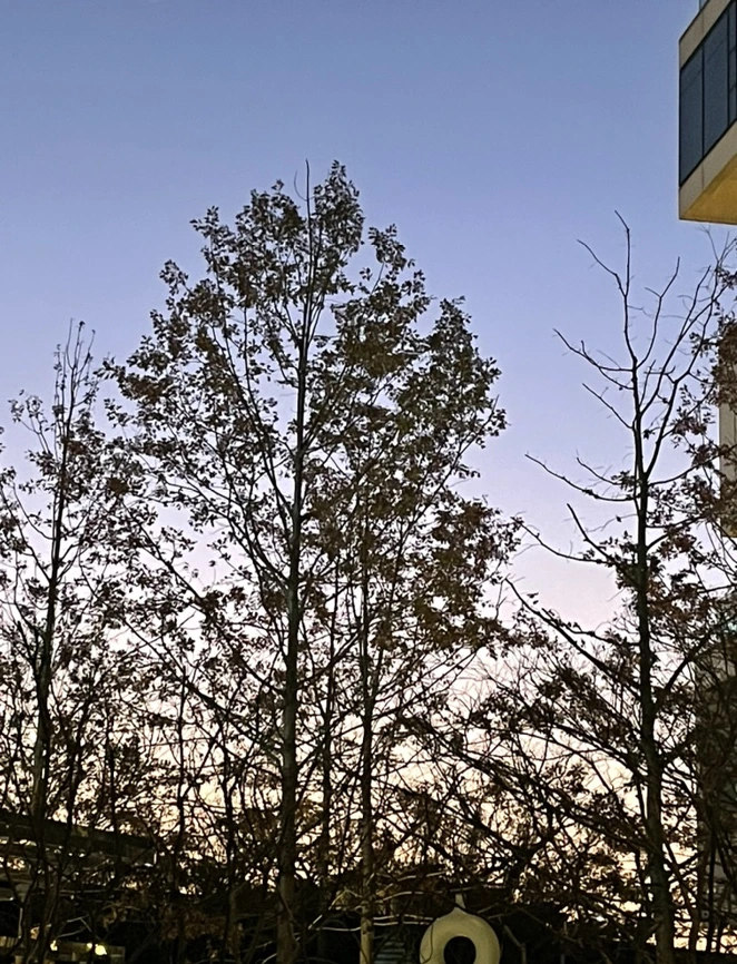 IMG_0762.jpg?type=w1