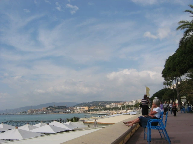 sunny_234.jpg?type=w1