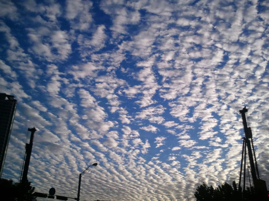 %ED%95%98%EB%8A%98.jpg?type=w1