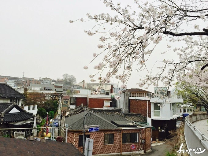 2643DF3B5719F0A009BD8B