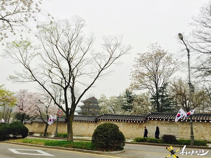 240D003B5719F0A0358587