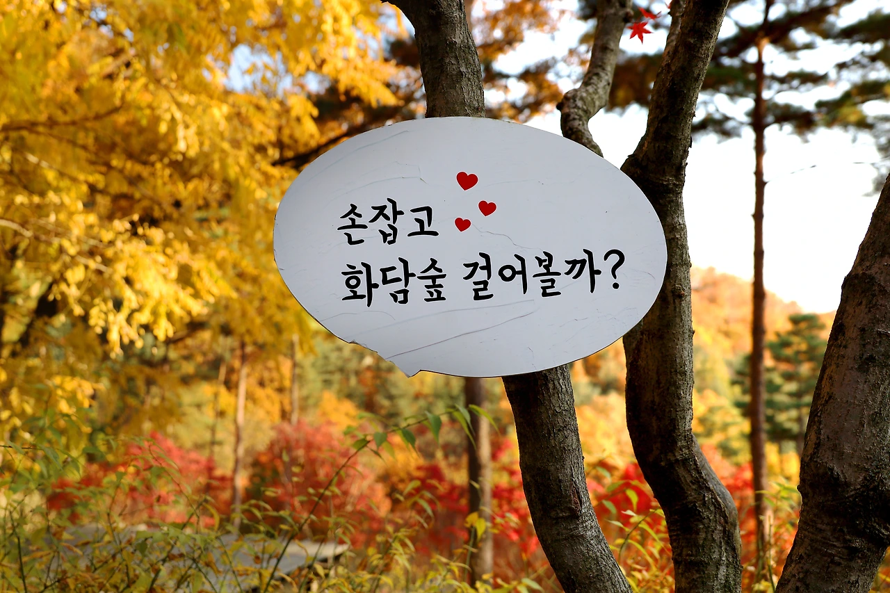 친구, 가족, 연인의 손을 잡고 걷기 좋은 화담숲.JPG