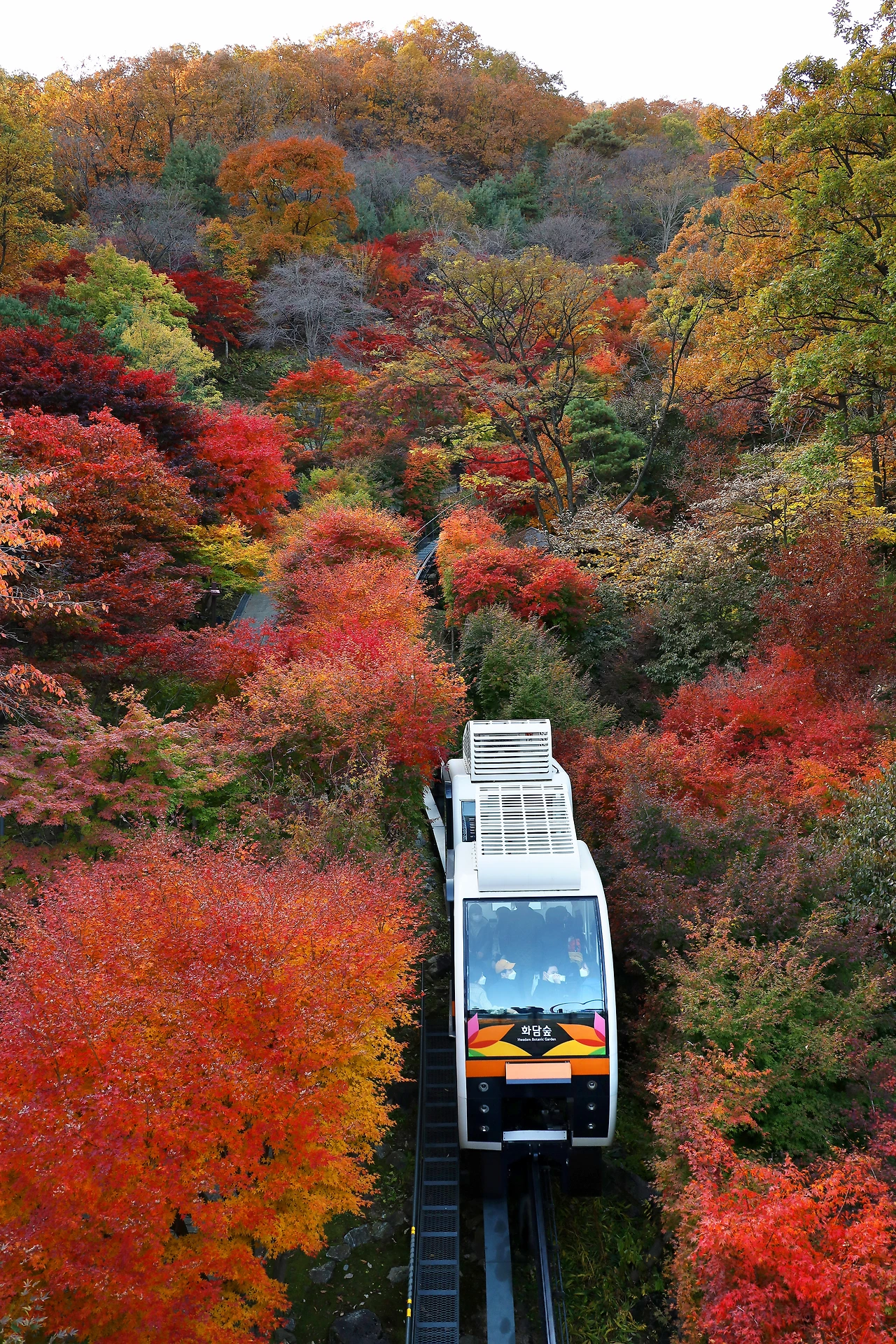 화담숲 전체를 조망하는 모노레일.JPG