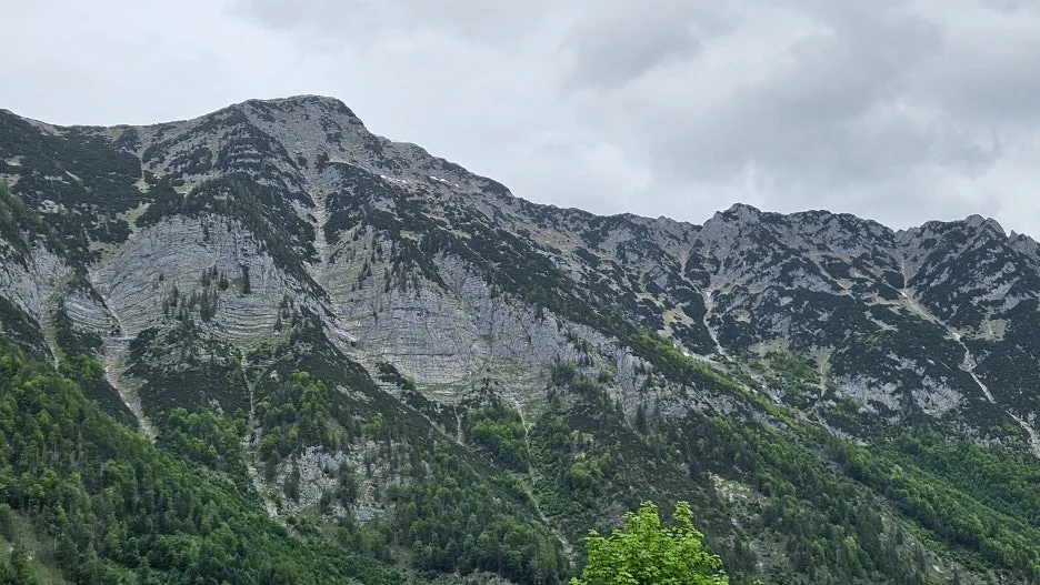 20240521_125105.jpg?type=w1