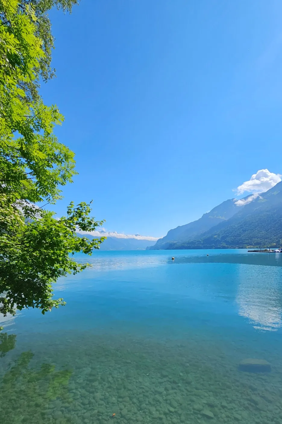 SE-ee4288dc-6cd2-45b4-832d-fc49989d1db6.jpg?type=w1