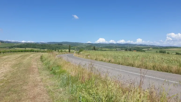 20240531_152310.jpg?type=w773