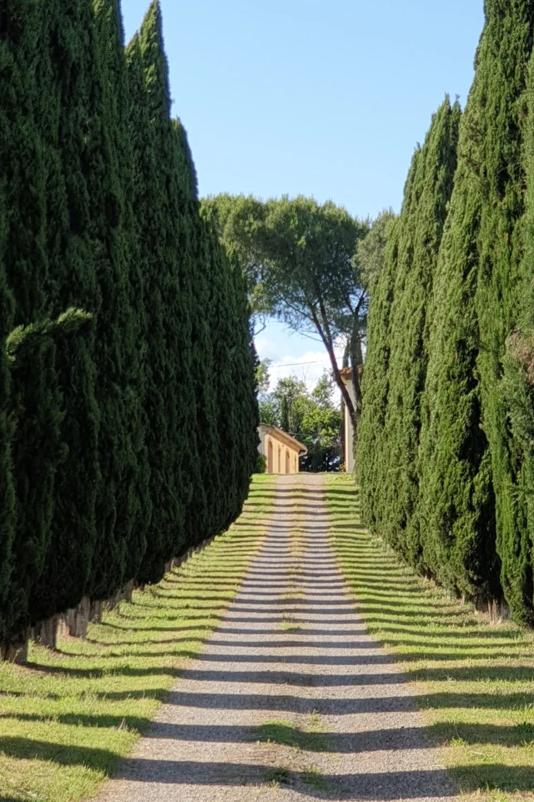 SE-1a793525-4b5a-4044-999b-129e08962eff.jpg?type=w773