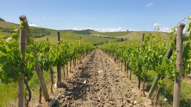 20240531_152252.jpg?type=w773