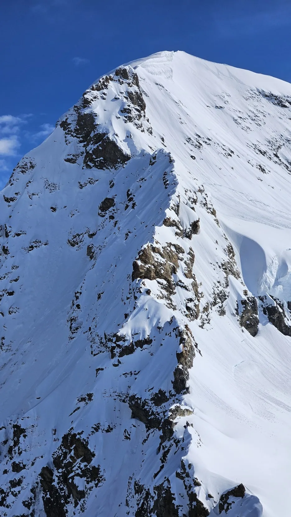 20240605_093257.jpg?type=w1