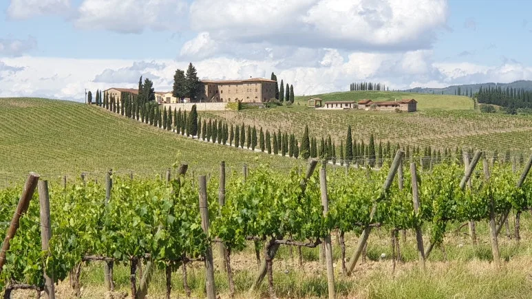 20240531_152351.jpg?type=w773