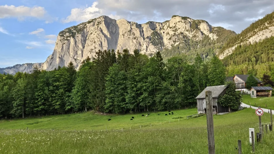 20240520_194513.jpg?type=w1