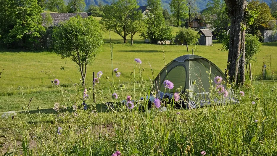 20240520_185044.jpg?type=w1