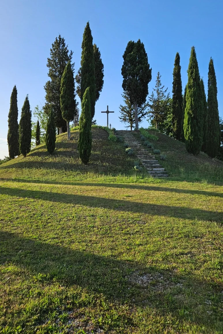 SE-724561b1-242f-4e02-a5f5-04af0695fa62.jpg?type=w773