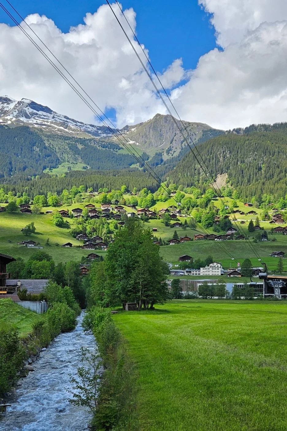 SE-6addbfe9-1f70-42b1-a83f-4e4414a6bc7f.jpg?type=w1