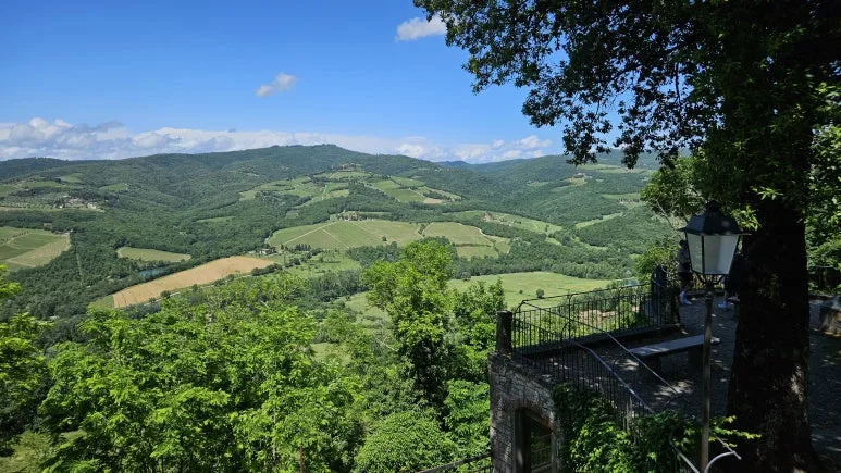 20240531_141350.jpg?type=w773