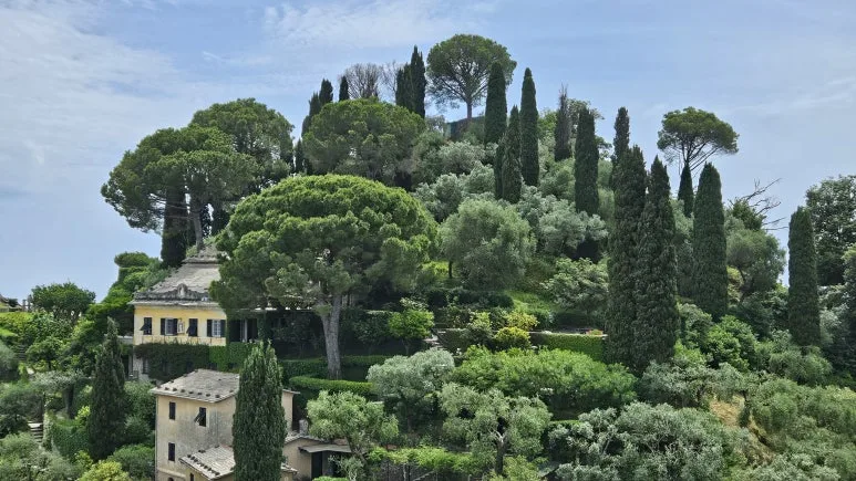 20240527_141140.jpg?type=w773