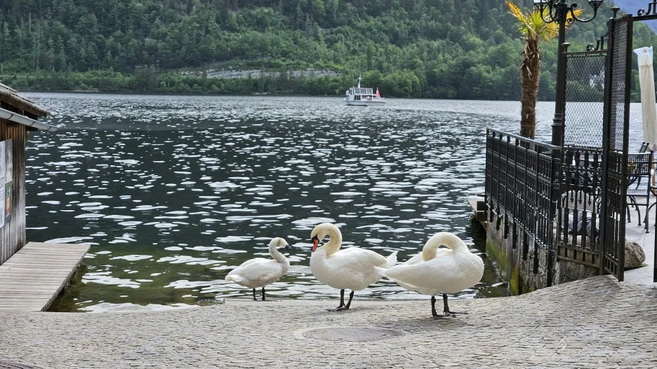 20240521_091820.jpg?type=w1