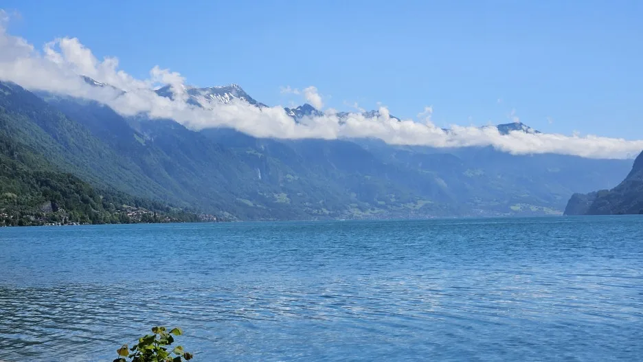 20240604_104909.jpg?type=w1