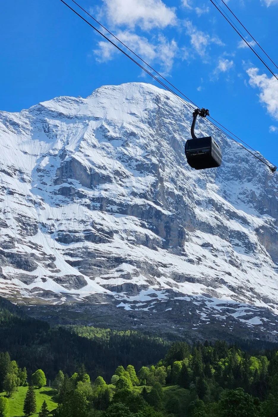 SE-b4df7eae-f490-4fef-bc2f-33c6465b1e03.jpg?type=w1