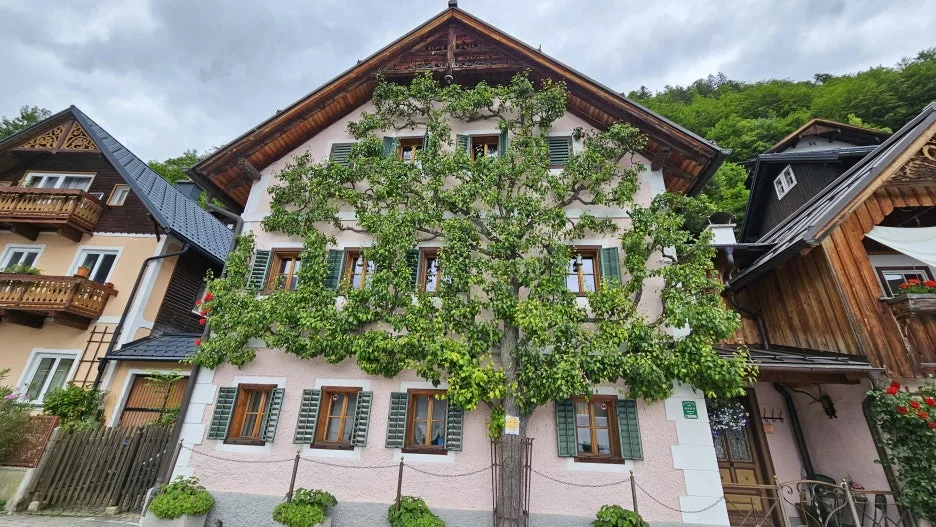 20240521_110308.jpg?type=w1