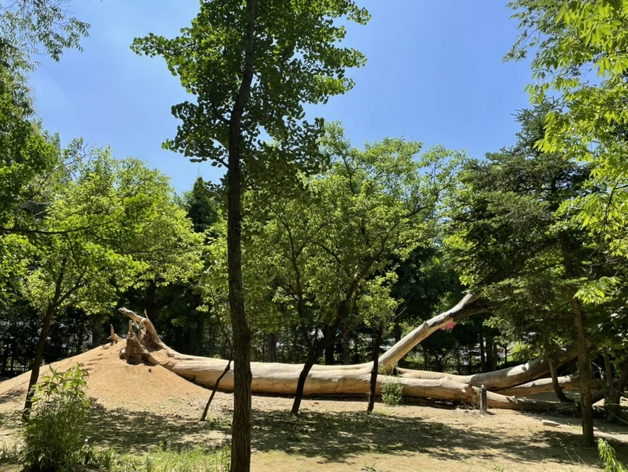 IMG_6574.jpg?type=w1