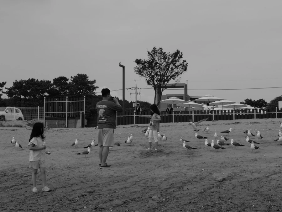 DO01024211.JPG?type=w1