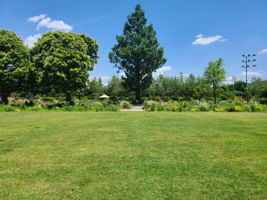 IMG_6605.JPG?type=w1