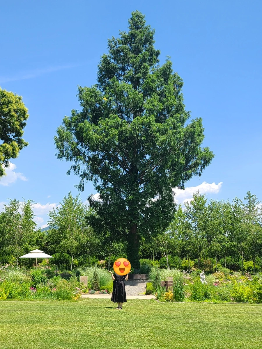 output_1578070525.jpg?type=w1