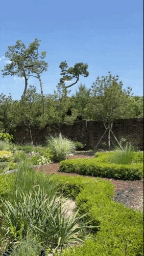 693023026.gif?type=w1