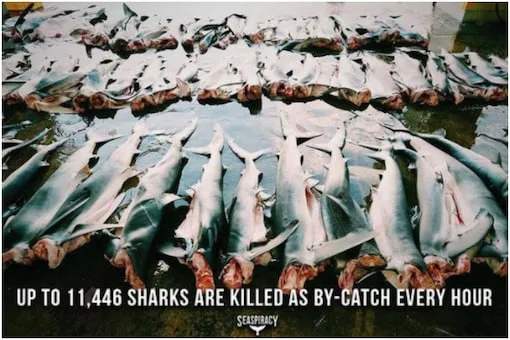 다운로드 (5).jpeg