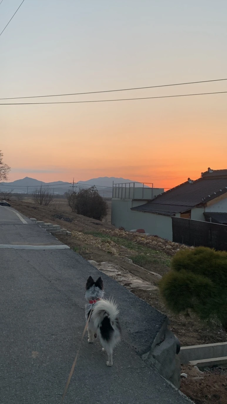 IMG_6933.JPG?type=w773