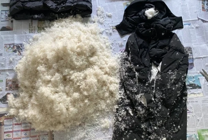 다운로드 (4).jpeg