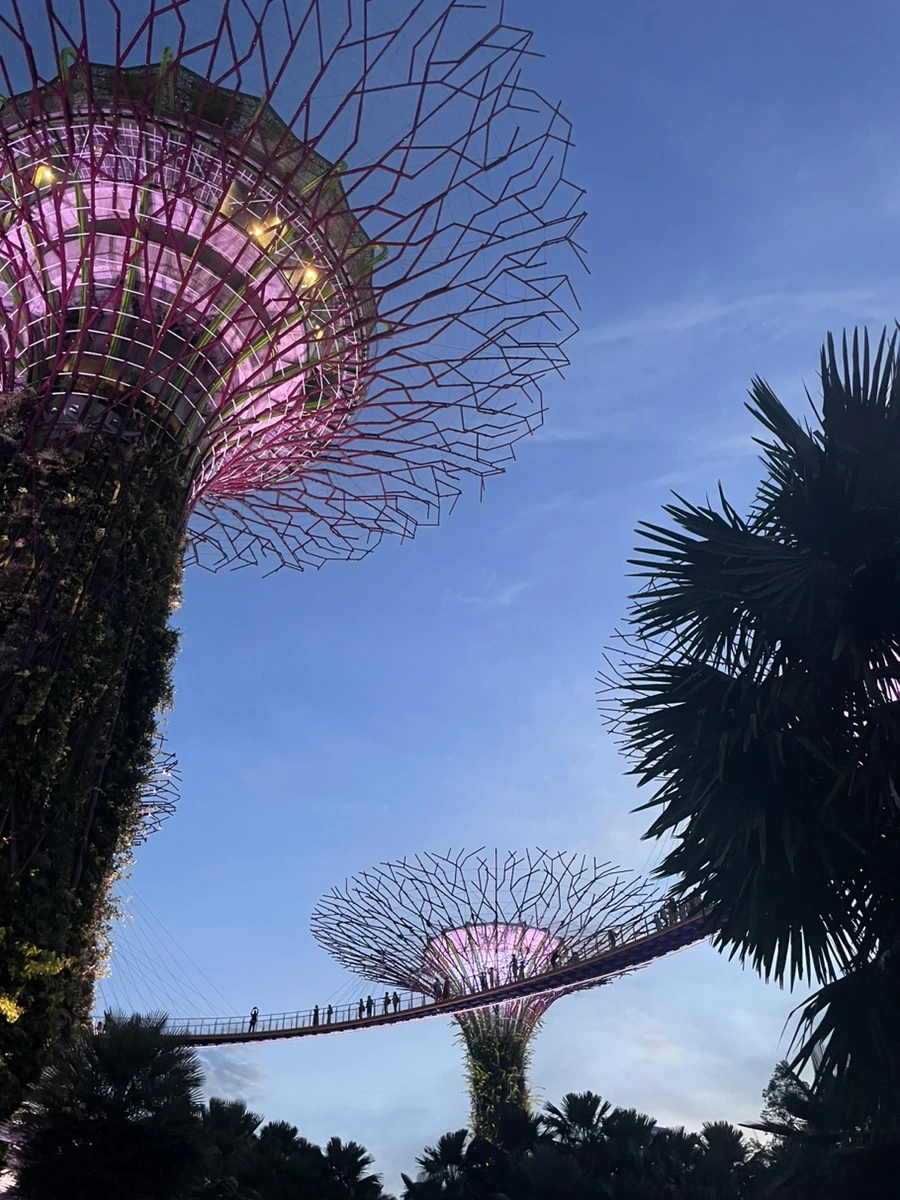 IMG_8368.jpg?type=w966