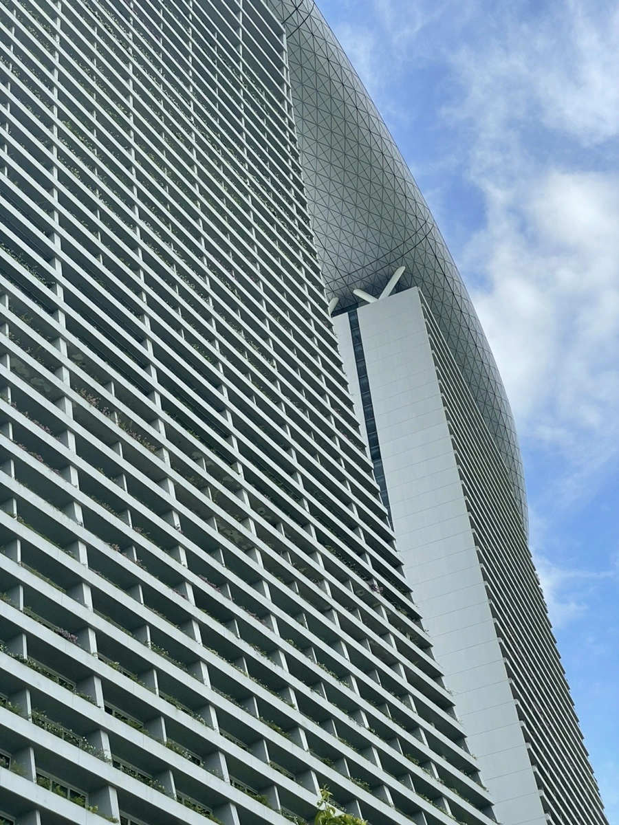 IMG_8253.jpg?type=w966