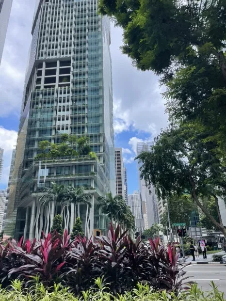 IMG_8168.jpg?type=w466