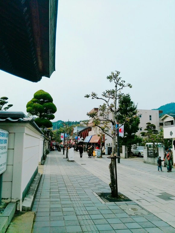 99F0B9425A66B21A154D2B