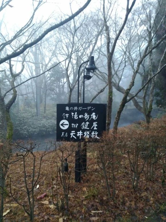 99C73C405A6D7B1937C543