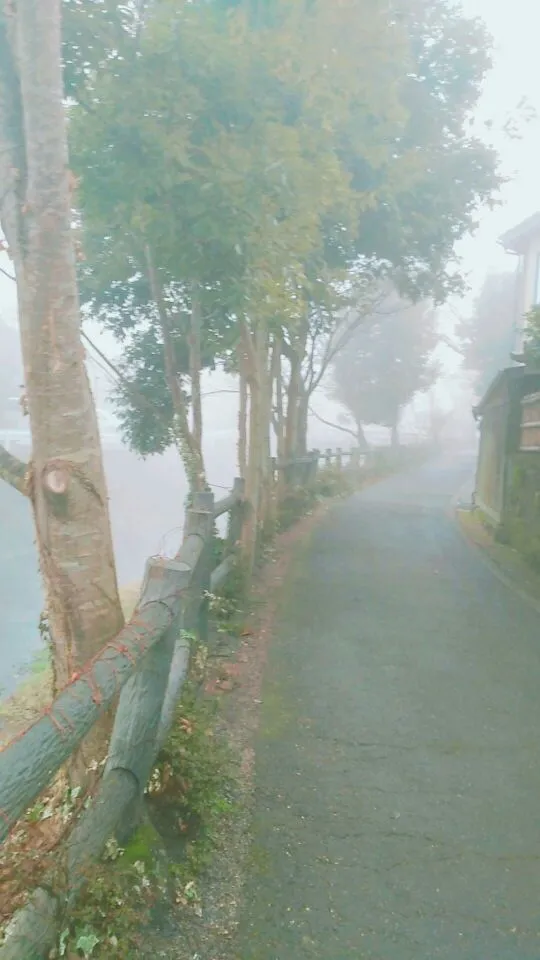 99587D405A6D7B180590CB