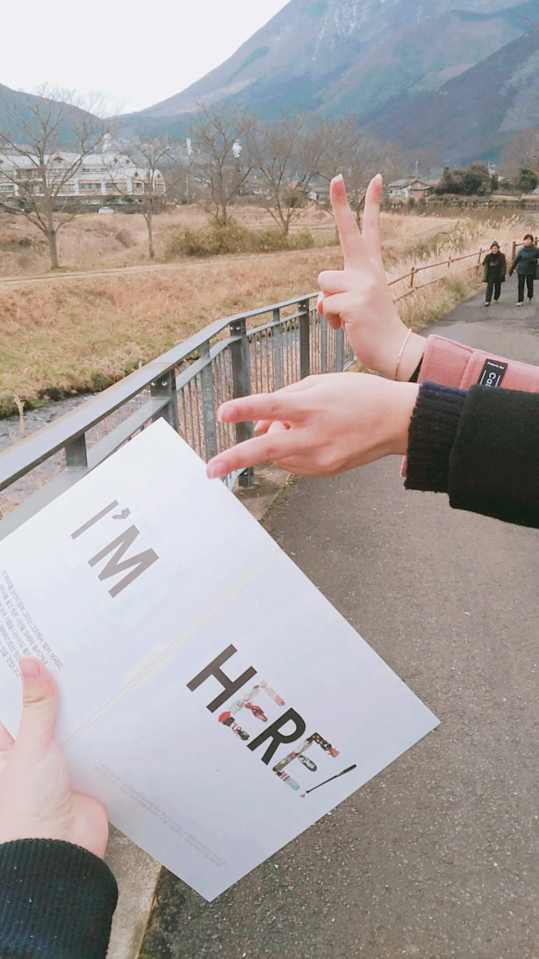 9965803B5A66C98B3346F4