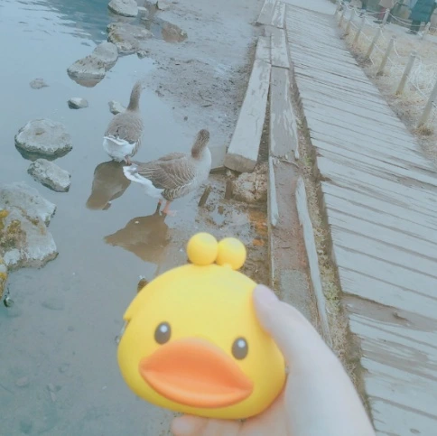 99CE6D505A6D6D610CD55A