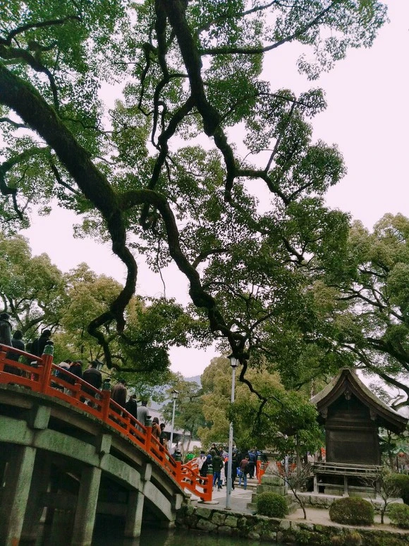 99803F425A66B2160B59FB